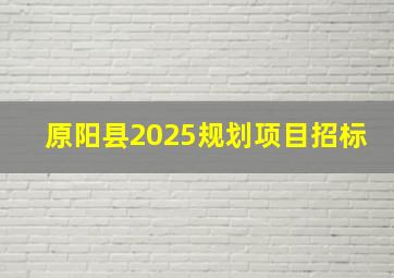 原阳县2025规划项目招标