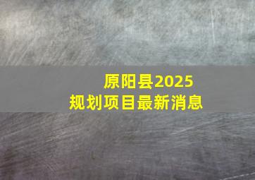 原阳县2025规划项目最新消息