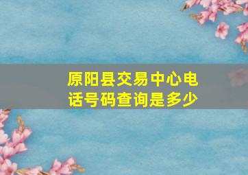 原阳县交易中心电话号码查询是多少