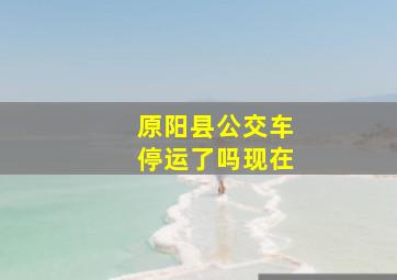 原阳县公交车停运了吗现在