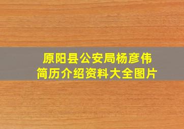 原阳县公安局杨彦伟简历介绍资料大全图片