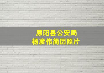 原阳县公安局杨彦伟简历照片