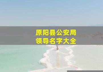 原阳县公安局领导名字大全