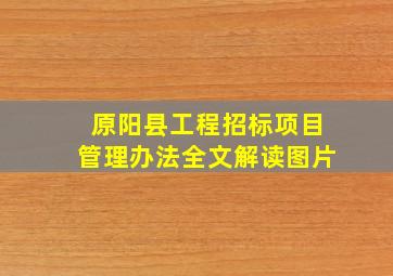 原阳县工程招标项目管理办法全文解读图片