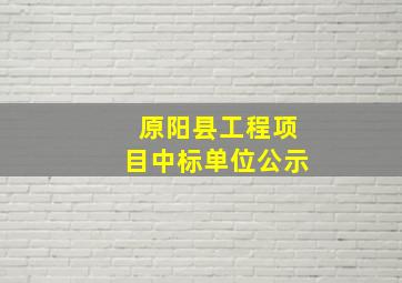 原阳县工程项目中标单位公示