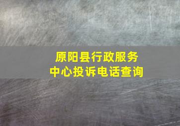 原阳县行政服务中心投诉电话查询