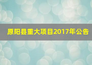 原阳县重大项目2017年公告