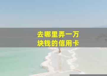 去哪里弄一万块钱的信用卡