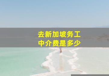 去新加坡务工中介费是多少