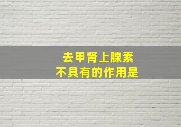 去甲肾上腺素不具有的作用是