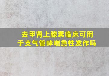 去甲肾上腺素临床可用于支气管哮喘急性发作吗