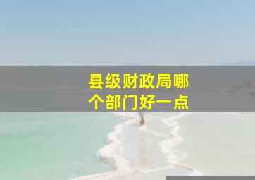 县级财政局哪个部门好一点