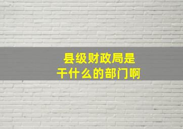 县级财政局是干什么的部门啊