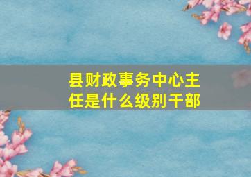 县财政事务中心主任是什么级别干部