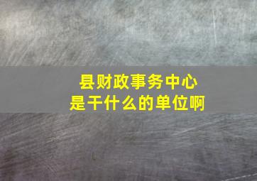 县财政事务中心是干什么的单位啊