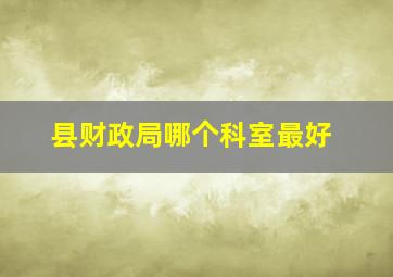 县财政局哪个科室最好