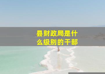 县财政局是什么级别的干部