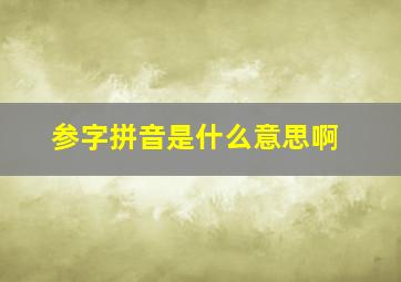 参字拼音是什么意思啊