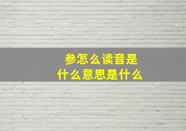 参怎么读音是什么意思是什么