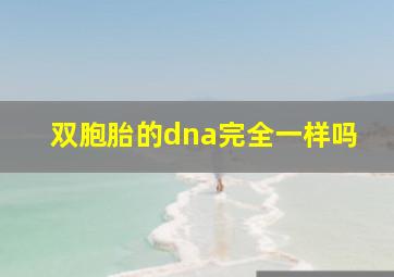 双胞胎的dna完全一样吗