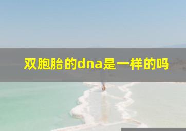 双胞胎的dna是一样的吗