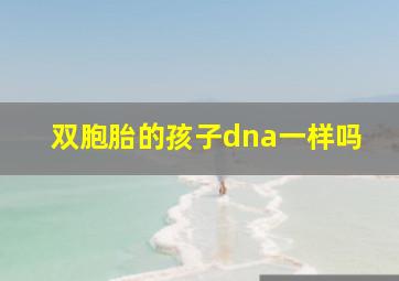 双胞胎的孩子dna一样吗