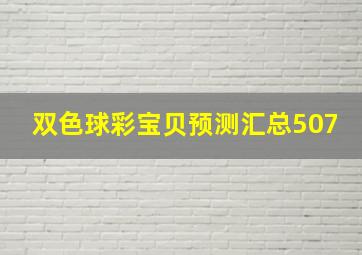 双色球彩宝贝预测汇总507