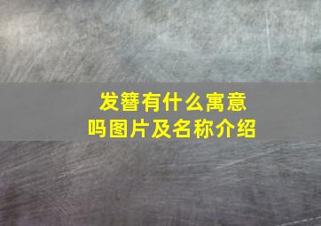 发簪有什么寓意吗图片及名称介绍