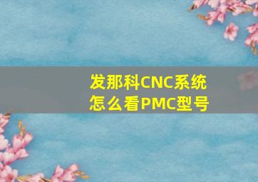 发那科CNC系统怎么看PMC型号