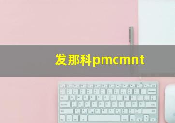 发那科pmcmnt