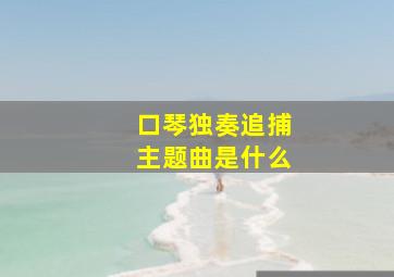 口琴独奏追捕主题曲是什么