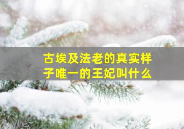 古埃及法老的真实样子唯一的王妃叫什么