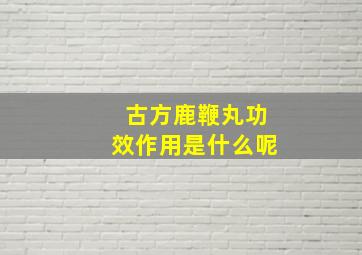 古方鹿鞭丸功效作用是什么呢