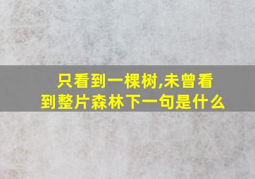 只看到一棵树,未曾看到整片森林下一句是什么