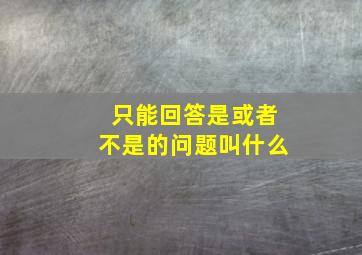 只能回答是或者不是的问题叫什么