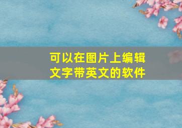 可以在图片上编辑文字带英文的软件