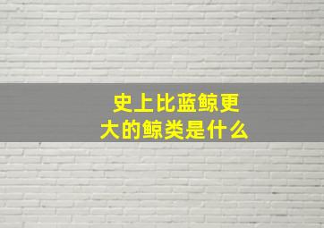 史上比蓝鲸更大的鲸类是什么