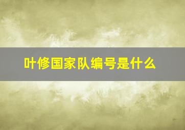 叶修国家队编号是什么