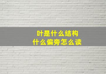 叶是什么结构什么偏旁怎么读