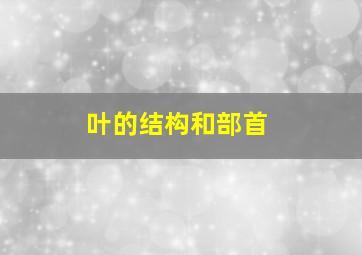 叶的结构和部首