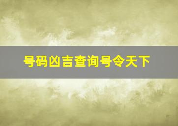 号码凶吉查询号令天下