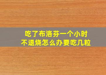 吃了布洛芬一个小时不退烧怎么办要吃几粒