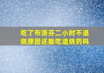 吃了布洛芬二小时不退烧原因还能吃退烧药吗