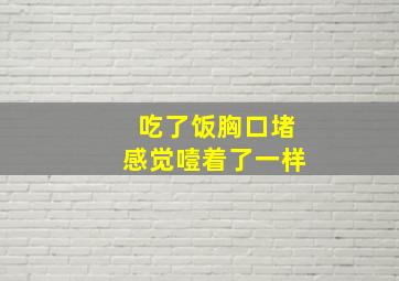 吃了饭胸口堵感觉噎着了一样