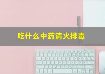 吃什么中药清火排毒