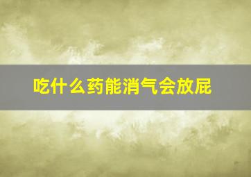 吃什么药能消气会放屁