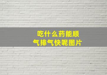 吃什么药能顺气排气快呢图片