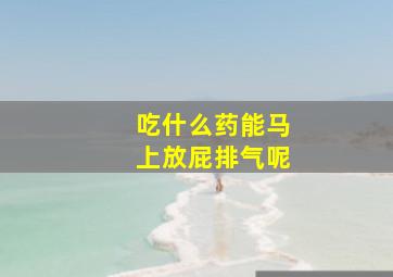 吃什么药能马上放屁排气呢