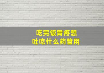 吃完饭胃疼想吐吃什么药管用