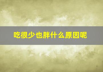 吃很少也胖什么原因呢